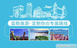 蓝鲸旅行 开启私人定制与商务考察的专业旅程