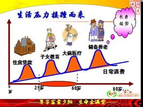 创新共赢 全面解读宁波分公司迪拜旅游保险业务推广方案