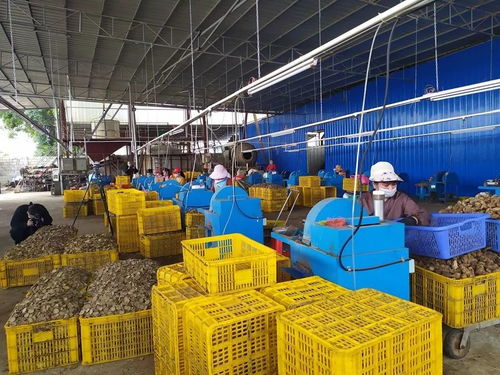 节气不等人，春日胜黄金 把握旅游业务的季节脉搏