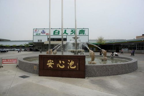 特立独行的白人牙膏观光工厂 工业旅游中的清新美学